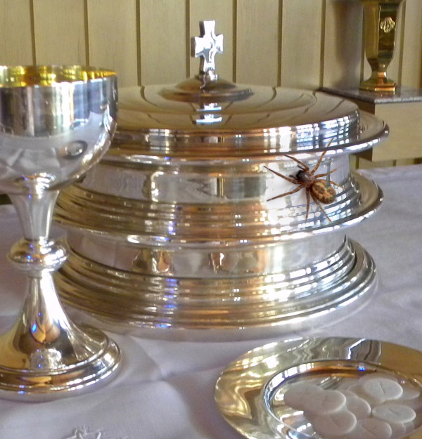 communion spider.jpg