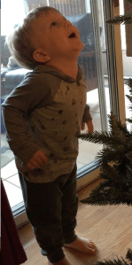 Screen Shot 2017-11-27 at 1.36.13 PM