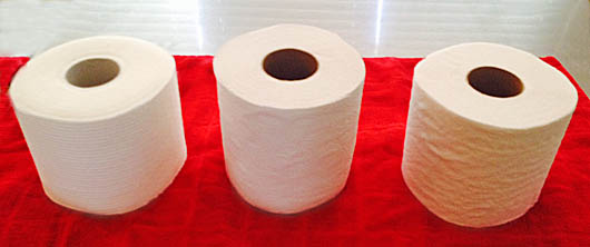 Toilet-Paper-2